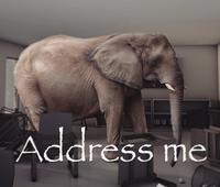 A reaction image of an elephant standing in a room. The meme reads, "Address me."