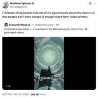 X user @mattyglesias tweeted, "I’ve been telling people that one of my big concerns about the country is that people don’t have access to enough short-form video content," in reaction to the launch of Meta AI's Vibes feed.