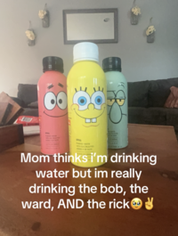 A "meme":https://knowyourmeme.com/memes/memes from a "TikTok":https://knowyourmeme.com/memes/sites/tiktok "photo slideshow":https://knowyourmeme.com/memes/sites/tiktok-photo-slideshows-photo-mode about drinking, "the bob, the ward, AND the rick."