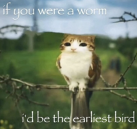 if you were a worm i'd be the earliest bird
