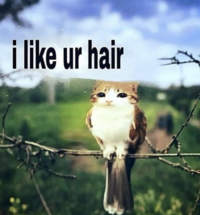 i like ur hair