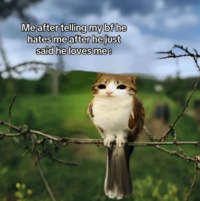 Me after telling my bf he hates me after he just said he loves me :