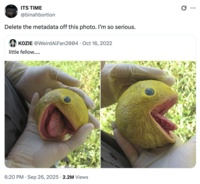 X user @binahbortion tweeted the "Delete the metadata" copypasta in response to a photo of a hyperrealistic Pac-Man sculpture, gathering over 49,000 likes in a day.