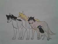 Ace, Sabo and Luffy as wolves along with Aika