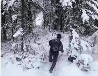 A dog or a running man?