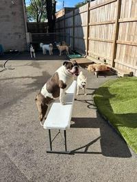 What's going on here?