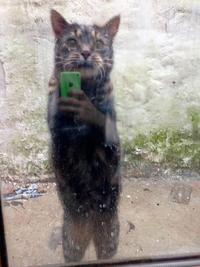 Taking a selfie