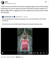 A "tweet":https://knowyourmeme.com/memes/sites/twitter-x about the "AI Video":https://knowyourmeme.com/memes/cultures/ai-video of a woman breaking a glass bridge by jumping backward with a big rock.
