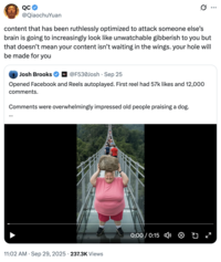 A "tweet":https://knowyourmeme.com/memes/sites/twitter-x about the "AI Video":https://knowyourmeme.com/memes/cultures/ai-video of a woman breaking a glass bridge by jumping backward with a big rock.