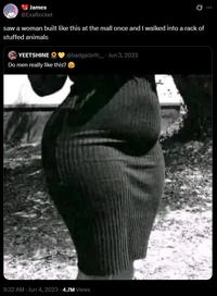 A tweet by @exarocket. The tweet reads, "saw a woman built like this at the mall once and I walked into a rack of stuffed animals."