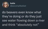 katie @socomplikatied do beavers even know what they're doing or do they just see water flowing down a river and think "absolutely not"