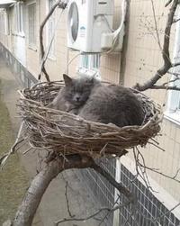 His house now