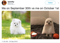 spooky @dantep_ Follow Me on September 30th vs me on October 1st 11:55 AM - 25 Sep 2018