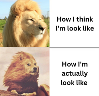 How I think I'm look like How I'm actually look like