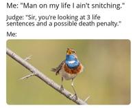 Me: "Man on my life I ain't snitching." Judge: "Sir, you're looking at 3 life sentences and a possible death penalty." Me: