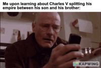 Me upon learning about Charles V splitting his empire between his son and his brother: KAPWING