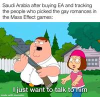 Saudi Arabia after buying EA and tracking the people who picked the gay romances in the Mass Effect games: I just want to talk to him made with mematic