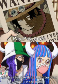 Pay-Pay, lookLIVE This is the guy that defeated our dad! I hate him!