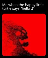Me when the happy little turtle says "hello :)"