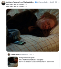 X user @theneedledrop tweeted, "WHO LET THE DOGS OUT" as part of a trend where people quote tweet @Aileendruiz's post, gathering over 90,000 likes in a day.