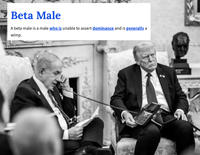 Beta Male A beta male is a male who is unable to assert dominance and is generally a wimp. EE EEE