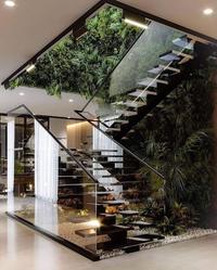 Walk into the jungle