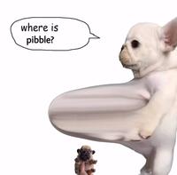 where is pibble?
