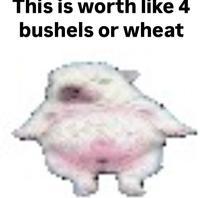 This is worth like 4 bushels or wheat