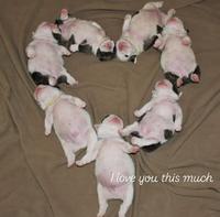 I love you this much