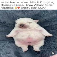 Ive just been on some chill s---, I'm my bag. stacking up bread. I know y'all gon fw me regardless and if u don't IDGAF 71