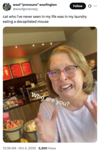 X user @woofgonecrazy tweeted the "Who Are You" image alongside a post that read, "cat who i've never seen in my life was in my laundry eating a decapitated mouse."