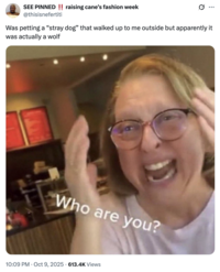 X user @thisisnefertiti tweeted the "Who Are You?" meme alongside a caption that read, "Was petting a “stray dog” that walked up to me outside but apparently it was actually a wolf."