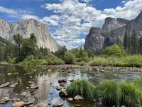 Yosemite National Park