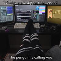 Windows 10 support has ended Network Total In/Out 1.73 GB/1.73 GB Peak In/Out 669.93 KB/s/669.93 KB/s In/Out 1.04 KB/s/1.04 KB/s enp37s0 Total In/Out 1.05 GB/156 MB Thermal amdgpu (edge) k10temp (Red) k10temp (Rt) mme (Composite) mume (Sensor 1) mme (Sensor 2) Senners 58.5°C Home CPU AcTioidly Root lew Higry Bookmarks Tools Heb DuckDuckGo-Protection. P... Aprils Meowtastic website! 1134 hepspot.nekoweb.org Aprils Mesta Square Zere DuckDuckGo Cantute. Su A Arch.openSUSE Se.. Home LOST... Blhaj Lemmy... Reddt-The h... Discover-B April's Meowtastic Website! gnupg email socials settings blog faq sitemap she/they transfem enby-eepy princess Graphice pipe 8. Event Engine 0.00 Vertex Grouper Tesselator Texture Addresser 5.8 Shader Egert 1.00 Shader Interpolator Scan Converter Prinitive sebly Sencer Detruction Cache Enlightenment 0.27.1 THIS SOFTWARE IS POVIDED "AS IS AND ANY EXPRESS OR IMPLIED WARRANTIES INCLUDING, BUT NOT LIMITED TO, THE IMPLIED WARRANTIES OF MERCHANTABILITY AND FITNESS FOR A PARTICULAR PURPOSE ARE DISCLAIMED. IN NO EVENT SHALL THE COPYRIGHT HOLDER OR CONTRIBUTORS BE LIABLE FOR ANY DIRECT, INDIRECT INCIDENTAL, SPECIAL EXEMPLARY, OR CONSEQUENTIAL DAMAGES (INCLUDING, BUT NOT LIMITED TO, UREMENT OF SUBSTITUTE GClose OR SERVICES LOSS OF ARE DAYA 00.PROSITE Used Cached Memory Usage 16.3GB/62.7 30.6 GB/62.7 GB Buffered 3.22 MB/62.7 GB Shared 901 MB/62.7 GB 1.8GHZ Swapped 08/64.0 GB Video 1.47 GB/4.00 GB 200 Overlay CPU frequency? Overlay CPU temperatures? Confused? Introduction: Hi, I'm April and welcome to my website! I am a 23 year old transfem.noobinacy.catgirl from Canada. My hobbies mostly relates to programming/building computers and photography. I like using and making free software and have been using GNU/Linux since 2011. This website is generally 13+, it contains mild swearing, some mentions of sexuality (in a non-explicit context), and (always with proper warnings) discussion of topics some may consider distressing or triggering To see more info about me, you can go to the about.me page. If you would like to see more information about this website, check out the about site page. If you'd like to get into contact with me, you can find the needed info on the socials page. Go to the sitemap if you would like to view all pages on this site, also with links to guides and blog posts Buttons/Webrings: NOTICE Websites linked here may execute nonfree JavaScript. | Webring owners, please check "Webrings Info" to see info about your webring Buttons: @a command user cpu pr size state qus april 114100 7 23 3 356 M sleep 09:46 50% april 92448 22 23 508 M 5 67:2520% april 1974 20 20 372 M sleep 5250 50% 1 sec april 127215 12 23 208 M sleep 06:20 1040% Show kernel threads? april 127276 24 23 3 114M sleep 05:52 10% User only? 121336 2 23 192 M sleep 07:05 30% Display status bar? Alpha 23620 24 23 747 M un 25:34 60% 138352 13 23 192 M root 873 S 20 065.3 M sleep 34:21 100% fedoro QrwebEngineProcess april 254222 20 23 3 200 M sleep 0251 80% terminology april 177599 12 23 355.4M 2 running 220 sleeping. 2 zombie Webrings: Webrings Info More Webrings 4.73%6 16.3 GB/62.7- Fediring Ring Retronaut Yuri Webring 2Autists Online >> sleep 05:32 150% sleep 00:36 30% HOMI senseyera LED april.nakoweb.org (26064700:20:43:482 100,00 vi-/Scripts/backupsafes.sh (april0aprile-neoputer "18 hyfetch A 110aprile-neouputer "130 04:08 05 aprilo apris meowputer: april aprile-neomputer 05: Arch Linux x86_64 Host: HS-7A39 (1.0) Kernel: Linux 6.16.8-arch3-1 Uptime: 5 hours, 41 ains aprikapril-meowputer Packages: 1120 (pacman), 53 (flatpak-user) Shell: Fish 4.0.8 Display (1942): 1440x900 0.94x in 19", 60 Hz [External] Display (BenQ OM2765): 2560x1440 0.94x in 27", 60 Hz (External) Display (Acer X243M): 1920x1200 0.94x in 24, 60 Hz (External) Display (2369H): 1920x1080 0.94x in 23, 60 Hz (External) Enlightenment (X11) Theme: E17gtk-revolved [GTK3) Icons: Enlightenment-X [OTK3), gnome [OTK4) Font: Ditstrean Vera Sana (10pt) [OTK3] Cursor: X11 Terminal: terminology 1.14.0 CPU: AMD Ryzen 7 3700x (16) 4.43 GHz GPU: AMD Radeon RX 580 Series [Discrete) Hemory: 15.19 01B/62.72 018 (24%) Swap: 08/64.00 018 (0%) Local IP (enp3780): 192.168.0.206/24 Locale: en CA.utr NCC ABM PALAS GWON 910 The penguin is calling you Desktop Home Root Pictures /home april Pictures Other Pictures Temp Screenshots Cat Pictures Dank Memes Downloaded Lunar Eclipse Pictures Photos Desktop Documents Downloads Screenshots Shots System Wallpapers Music Pictures Templates Videos 256GB Samsung- 1TB WD Blue 1TB WD Black 2TB Seagate Barr... Team Fortress 2 f2classic mtp-host Google. main site (april.ne..