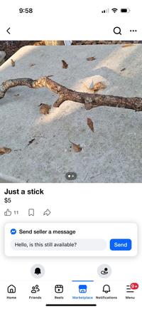< Just a stick $5 11 9:58 Send seller a message Hello, is this still available? Send Po 9+ g Home Friends Reels Marketplace Notifications Menu Q