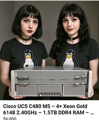 1501 M . Cisco UCS C480 M5 - 4x Xeon Gold 6148 2.40GHZ - 1.5TB DDR4 RAM - $6.000 -