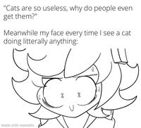 "Cats are so useless, why do people even get them?" Meanwhile my face every time I see a cat doing litterally anything: made with mematic X
