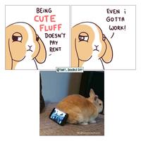 BEING CUTE FLUFF DOESN'T PAY RENT @THAT_DOODLE GUY EVEN i GOTTA WORK! H FB: @FlemishGiant Rabbit