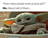 "How many people work at your job?" Me: About half of them...