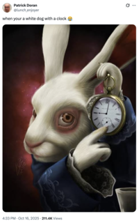 A "tweet":https://knowyourmeme.com/memes/sites/twitter-x using the White Rabbit Pointing at a Clock "image macro":https://knowyourmeme.com/memes/image-macros.