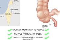 ea SYRIA □Jerusalem JORDAN ISRAEL EGYPT Infected appendix CAUSES IMMENSE PAIN TO PEOPLE SERVES NO REAL PURPOSE WE COULD LIVE WITHOUT IT WITH NO DOWNSIDES ་、、