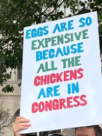 EGGS ARE SO EXPENSIVE BECAUSE ALL THE CHICKENS ARE IN CONGRESS