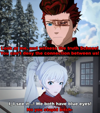 122 Look at me, and witness the truth Schnee! You can't deny the connection between us! I, I see it...! We both have blue eyes! No you stupid bitch-