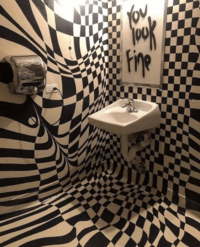 A trippy bathroom