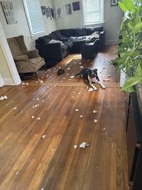 Making a mess