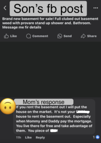 Son's fb post Brand new basement for sale! Full clubed out basement weed with provare stand up shower and. Bathroom. Message me fir details Like Comment Send Share Mom's response If you rent the basement out I will put the house on the market. It's not your f house to rent the basement out. Especially when Mommy and Daddy pay the mortgage. You live there for free and take advantage of them. You piece of 11h Like Reply 1b