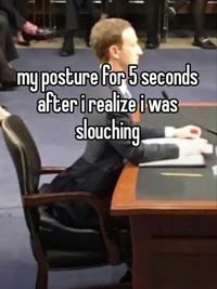 my posture for 5 seconds after i realize i was slouching