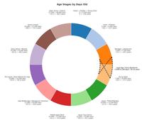 Senior Citizen 25,000 -68.5 27,500 days -75.3 years Early Senior / Retiree 22,500 25,000 days -61.6-68.5 years Pre-senior/Near Retirement Age 20,000 22,500 days -54.8 -61.6 years Late Middle Age / Menopause Transition 17,500 20,000 days -47.9-54.8 years Age Stages by Days Old Older Senior/Elderly 27,500 30,000 days -75.3 -82.2 years Infant Toddler → Young Child 0 2,500 days 0→ -6.8 years Middle-aged Adult 15,000 17,500 days -41.1-47.9 years Adult / Post-Prime 12,500 15,000 days -34.241.1 years Child → Preteen 5,000 days 2.500 -6.8 -13.7 years Teenager/Adolescent 5,000 7,500 days -13.7-20.5 years Legal Age / Early Adulthood -6,600-9,100 days / 18-24 years Young Adult 7,500 10,000 days -20.5-27.4 years Adult / Prime Physique 10,000 12,500 days -27.4-34.2 years
