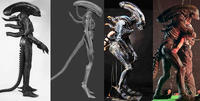 Xenomorph comparison