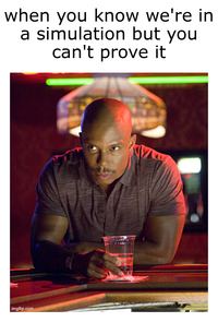 when you know we're in a simulation but you can't prove it imgflip.com
